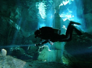 Visita guiada de buceo